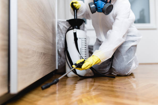 Best Wasp Removal Services  in Hermantown, MN