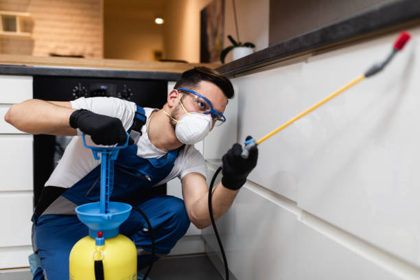 Best Mosquito Control Services  in Hermantown, MN