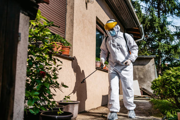 Best Commercial Pest Control Services  in Hermantown, MN