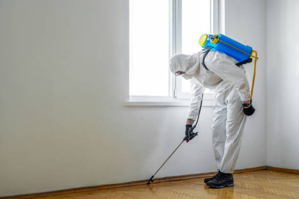 Best Flea Control Services  in Hermantown, MN