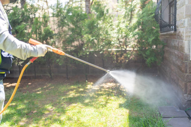 Best Cockroach Control Services  in Hermantown, MN