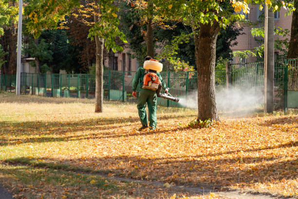 Best Mosquito Control Services  in Hermantown, MN