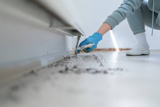 Best Commercial Pest Control Services  in Hermantown, MN