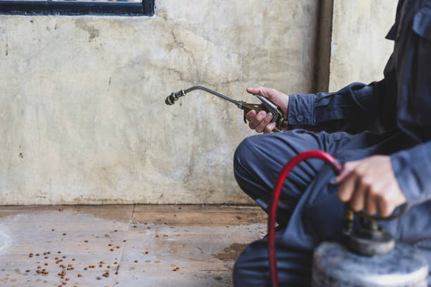 Best Emergency Pest Control  in Hermantown, MN
